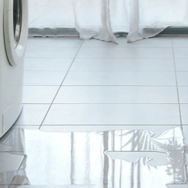 Appliance Leak Cleanup in Streator, IL