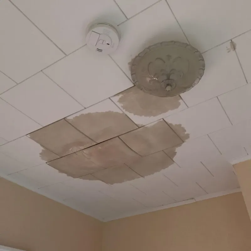 Ceiling Water Damage Repair in Streator, IL