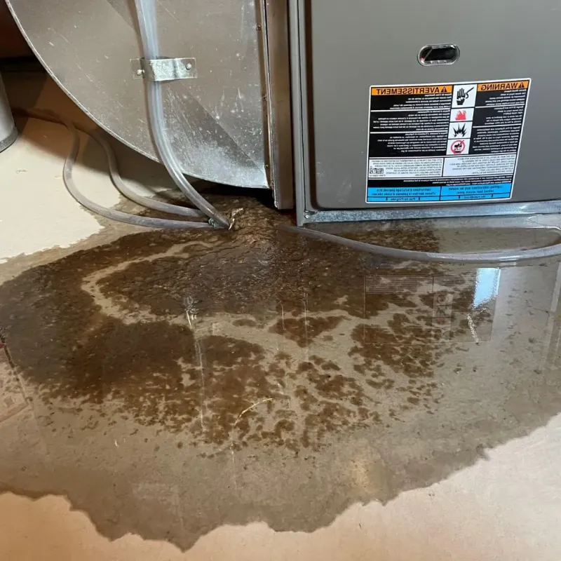 Pipe Burst and Leak Restoration in Streator, IL